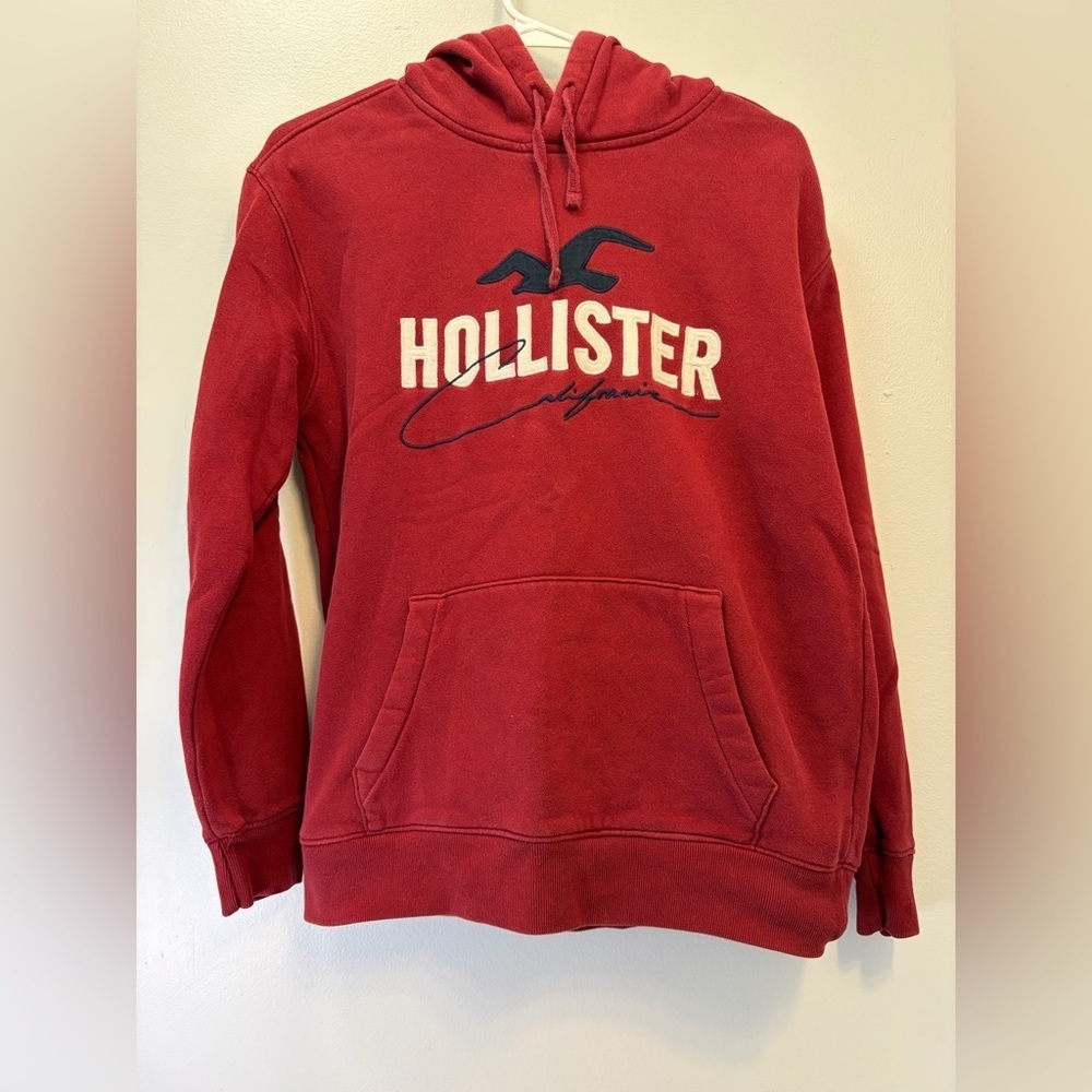 Hollister Men's Hoodie in Bold Red